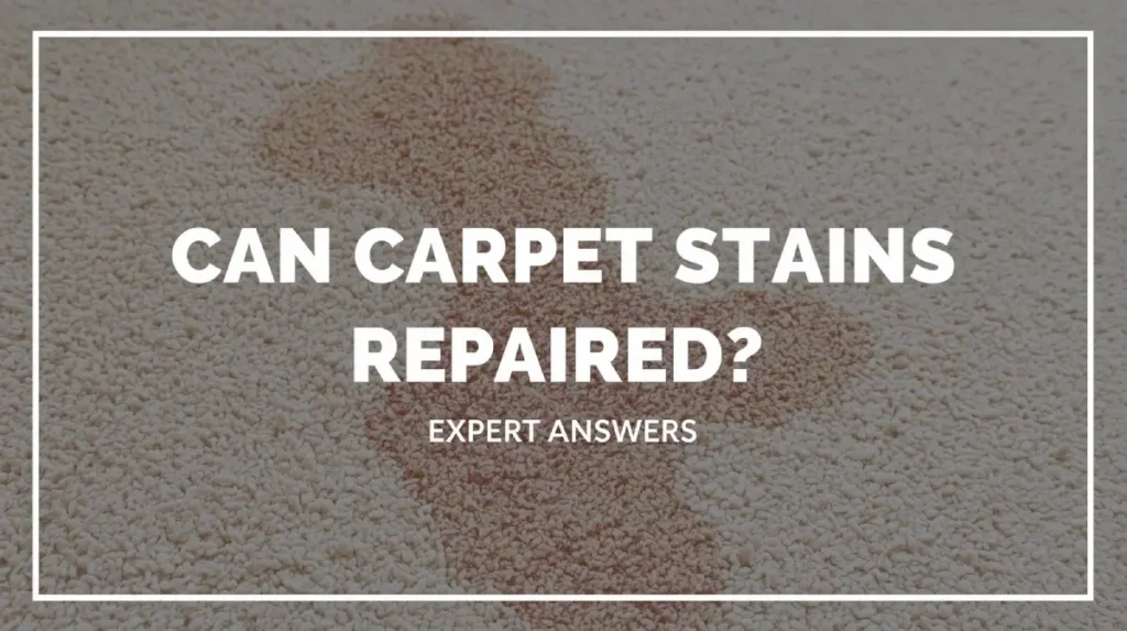 Carpet Stains Repaired